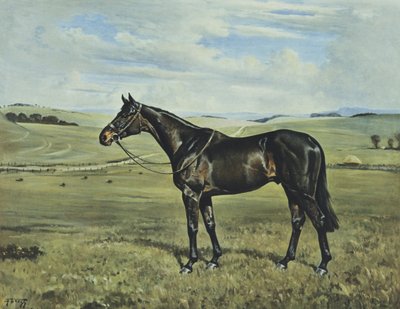 Drimore Lad by Franklin Brooke Voss