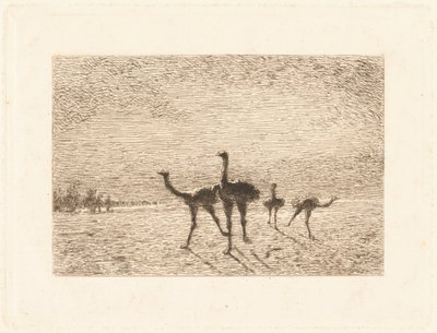 Ostriches in the Desert by François Nicolas Auguste Feyen Perrin