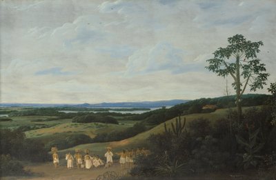 A Brazilian Landscape by Frans Post
