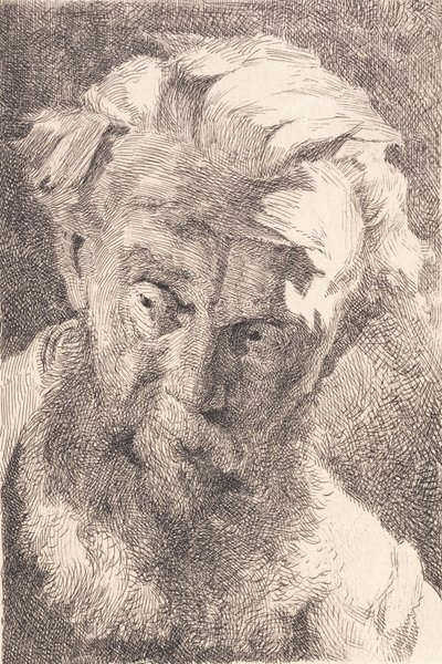 Old Bearded Man Looking to the Side by Frans Schwartz