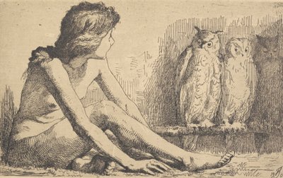 The Girl with the Owls by Frans Schwartz