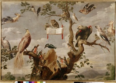 A Bird