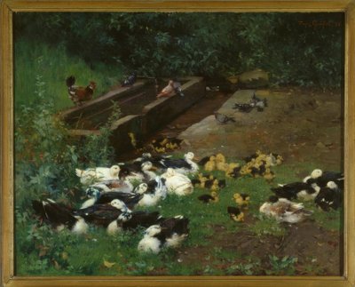 Duck Families by Franz Grassel