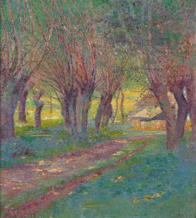 Pollard Willows in Weyer by Franz Jaschke