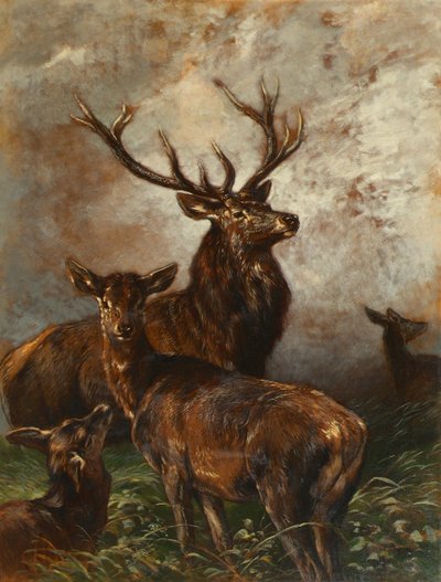 Stag and Doe by Franz Xaver von Pausinger