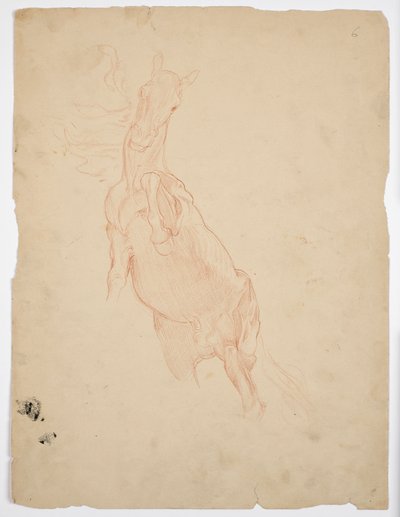 Studies of a Rising Horse by Franz von Matsch