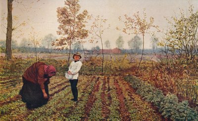The Violet Field by Fred Walker