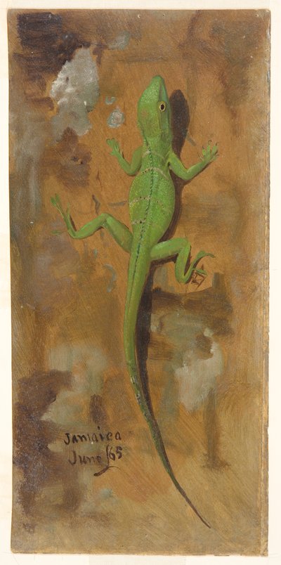 A Lizard, Jamaica by Frederic Edwin Church