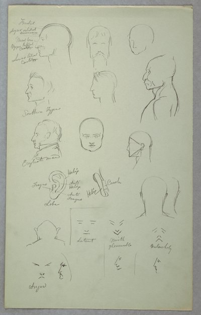 Anatomical Studies by Frederic Edwin Church