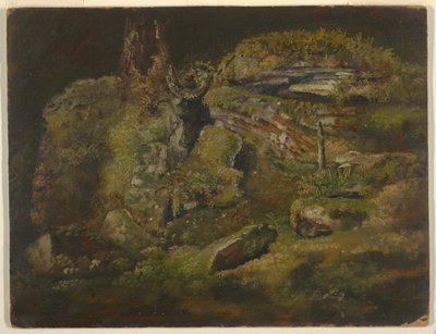 Boulder in the Woods by Frederic Edwin Church