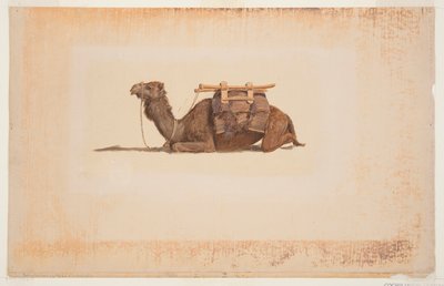 Crouching Dromedary by Frederic Edwin Church