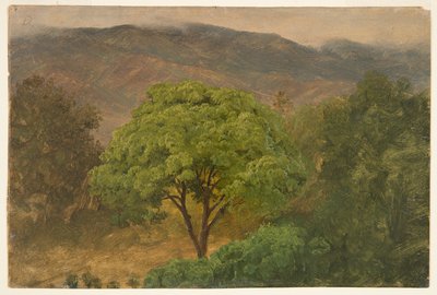 Genip Tree in the Mountains, Jamaica by Frederic Edwin Church