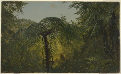 Jungle Foliage, Jamaica by Frederic Edwin Church