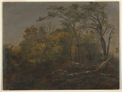 Maine Woods by Frederic Edwin Church