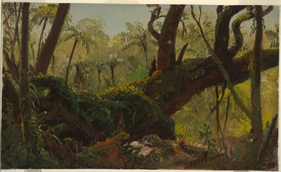 Rain Forest, Jamaica by Frederic Edwin Church