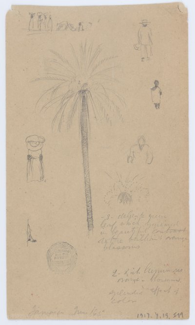 Sketches from Jamaica, West Indies by Frederic Edwin Church
