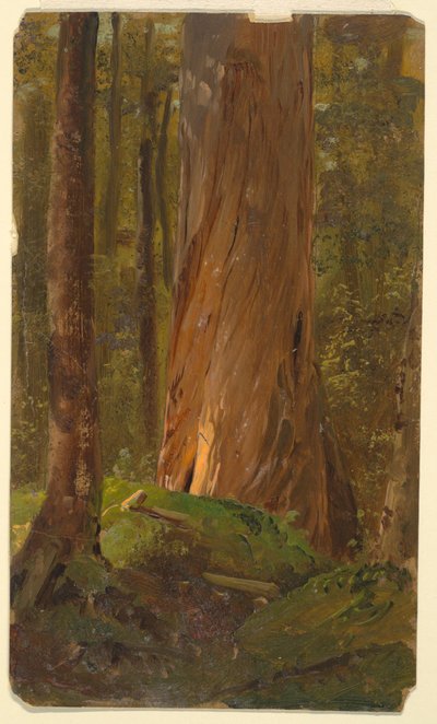 Study in the Maine Woods by Frederic Edwin Church
