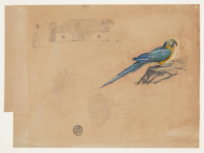 Study of Guacamaya, Bogotá, Colombia by Frederic Edwin Church