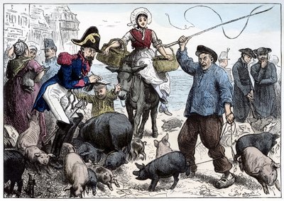 Pig Market, Boulogne by Frederick Barnard