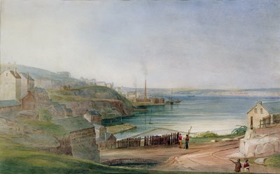 Darling Harbour from Millers Point by Frederick Garling