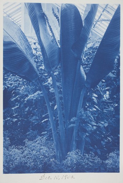 Untitled, December 10 by Frederick K. Coulson