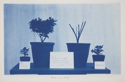 Untitled, March 1 by Frederick K. Coulson