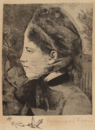 Honeysuckle by Frederick W. Freer