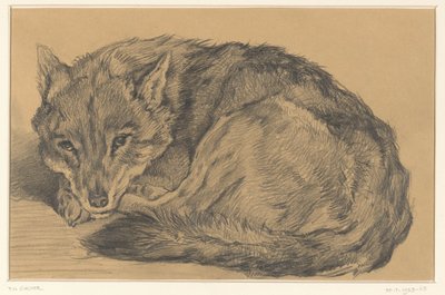 Lying Fox by Frederik Willem Zürcher