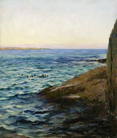 Summer Evening by Fredrik Kolstoe