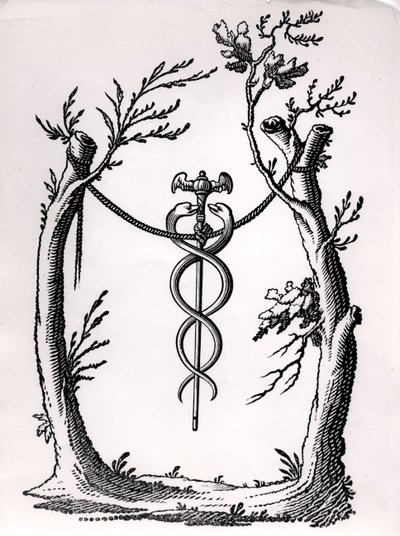 A Caduceus by French School
