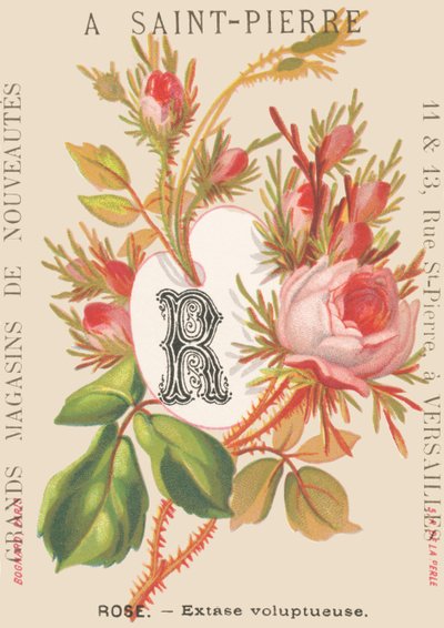 A: Pink - Voluptuous ecstasy by French School