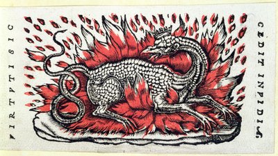 A Salamander, 1st half 16th century by French School