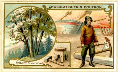 Advertising Chromolithography of Guérin Boutron Chocolates by French School