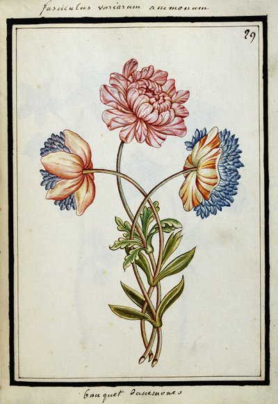 Bouquet of Anemones, c.1700 by French School