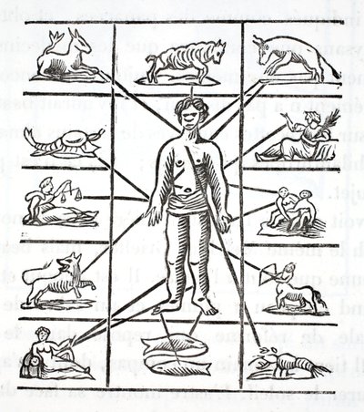 Designation of Parts that Each Sign Governs by French School