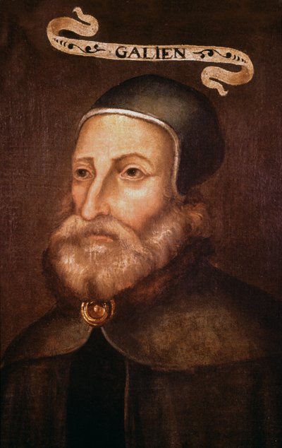 Galen by French School