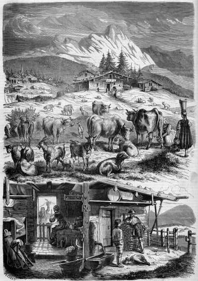 Inhabitants and dairy industry of the Alps by French School