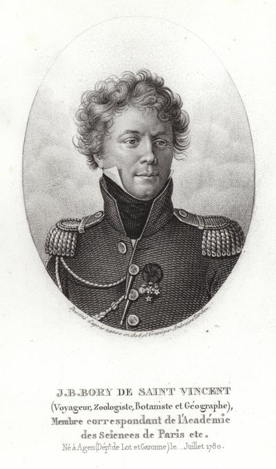 Jean-Baptiste Bory de Saint-Vincent by French School