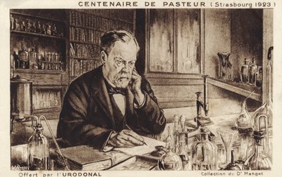 Louis Pasteur by French School