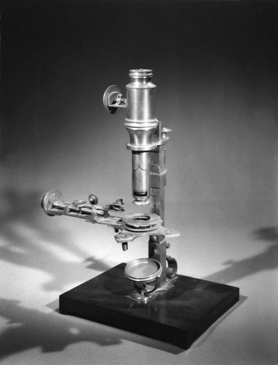 Microscope by French School