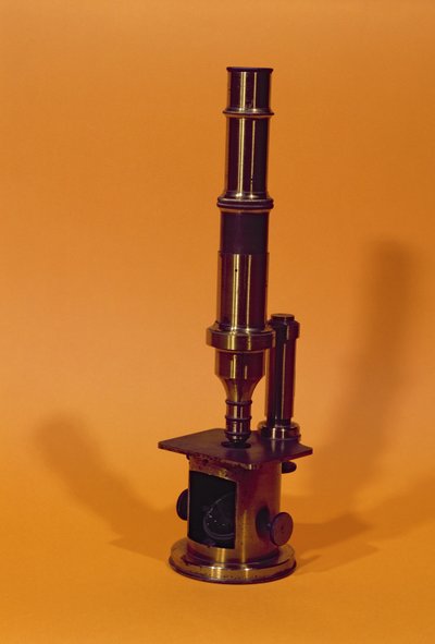 Microscope Belonging to Louis Pasteur by French School