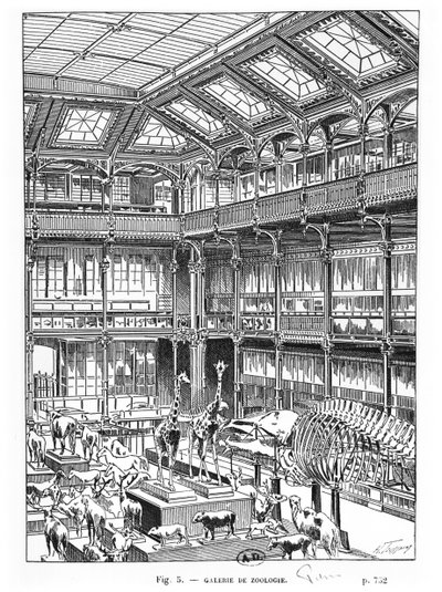 Museum of Natural History in Paris by French School