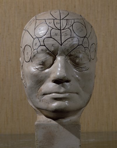 Phrenological Head by Jean Martin Charcot by French School