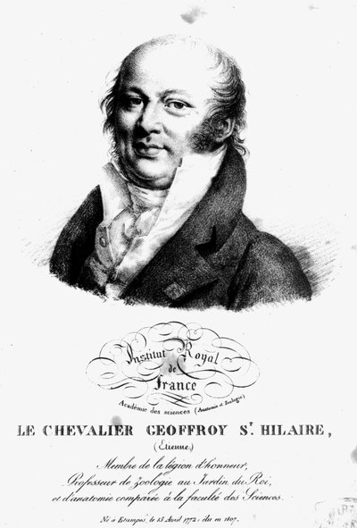 Portrait of Etienne Geoffroy Saint-Hilaire by French School