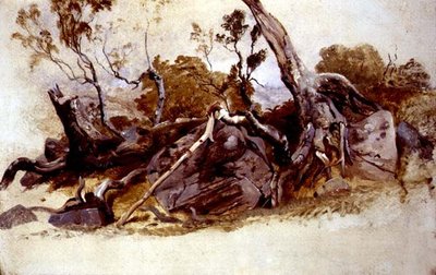 Study of Trees, c.1825 by French School