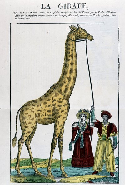 The Giraffe - Image of Epinal by French School