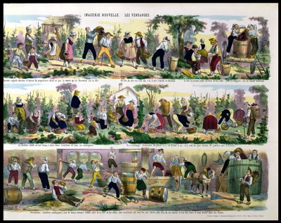 The Grape Harvest, Imagerie de Pont-a-Mousson by French School