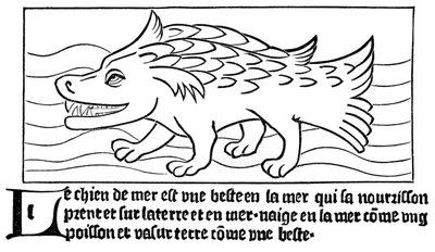 The Sea-Dog by French School
