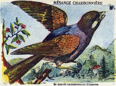 Unknown Image by French School
