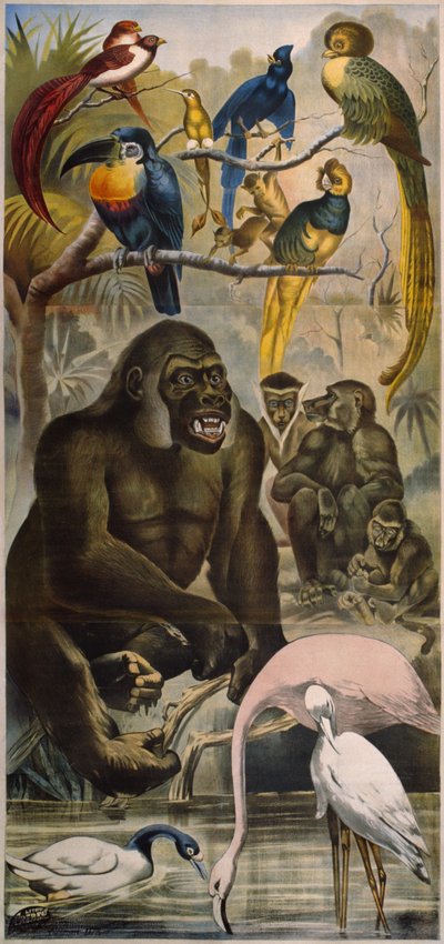 Wild animals by French School